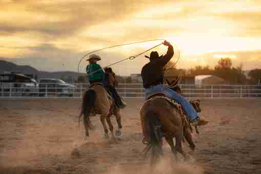 Team Roping